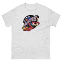 Akron Aeros