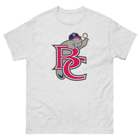 Brevard County Manatees