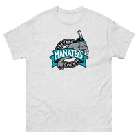 Brevard County Manatees