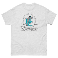 Brevard County Manatees