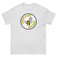 Chicago Sting