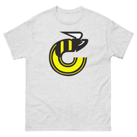 Cincinnati Stingers
