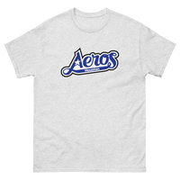 Houston Aeros