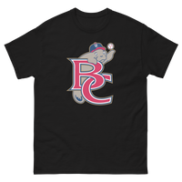 Brevard County Manatees