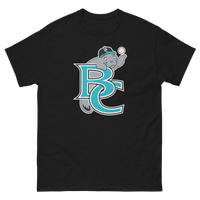 Brevard County Manatees