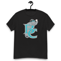 Brevard County Manatees