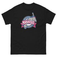 Brevard County Manatees