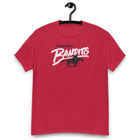 Tampa Bay Bandits