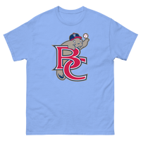Brevard County Manatees