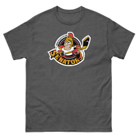 Binghamton Senators