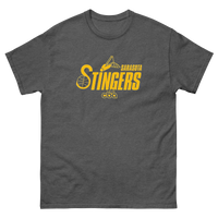 Sarasota Stingers