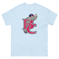 Brevard County Manatees