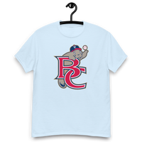 Brevard County Manatees