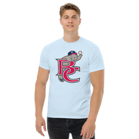 Brevard County Manatees
