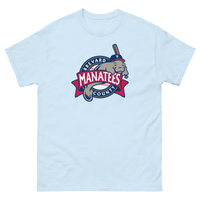 Brevard County Manatees