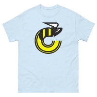 Cincinnati Stingers