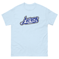 Houston Aeros
