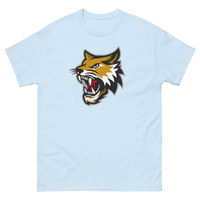 Vermilion County Bobcats