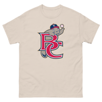 Brevard County Manatees