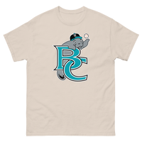 Brevard County Manatees