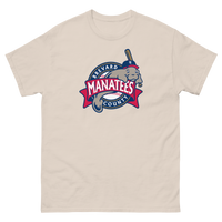 Brevard County Manatees