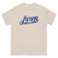 Houston Aeros