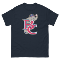 Brevard County Manatees