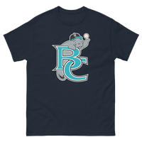 Brevard County Manatees