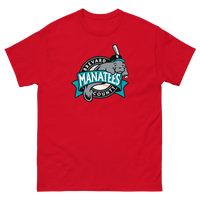 Brevard County Manatees