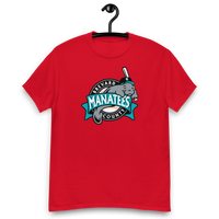 Brevard County Manatees