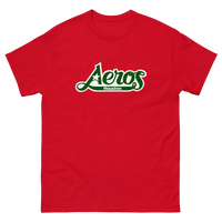 Houston Aeros