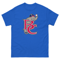Brevard County Manatees