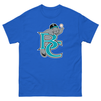 Brevard County Manatees