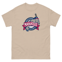 Brevard County Manatees