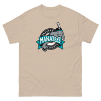 Brevard County Manatees