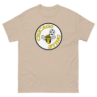 Chicago Sting
