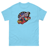 Akron Aeros