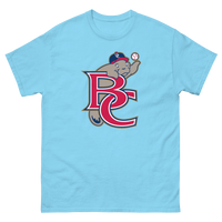 Brevard County Manatees