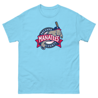 Brevard County Manatees