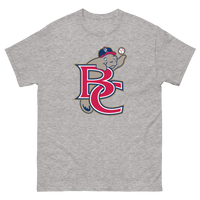 Brevard County Manatees