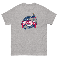 Brevard County Manatees