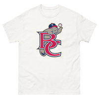 Brevard County Manatees
