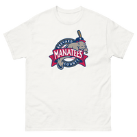 Brevard County Manatees
