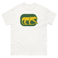 Chicago Cougars