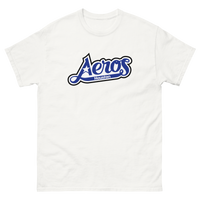 Houston Aeros