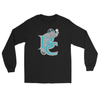 Brevard County Manatees