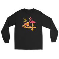 Miami Beach Flamingos