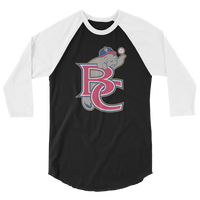 Brevard County Manatees