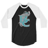 Brevard County Manatees