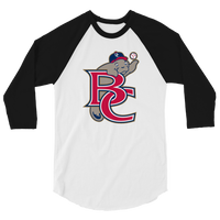 Brevard County Manatees
